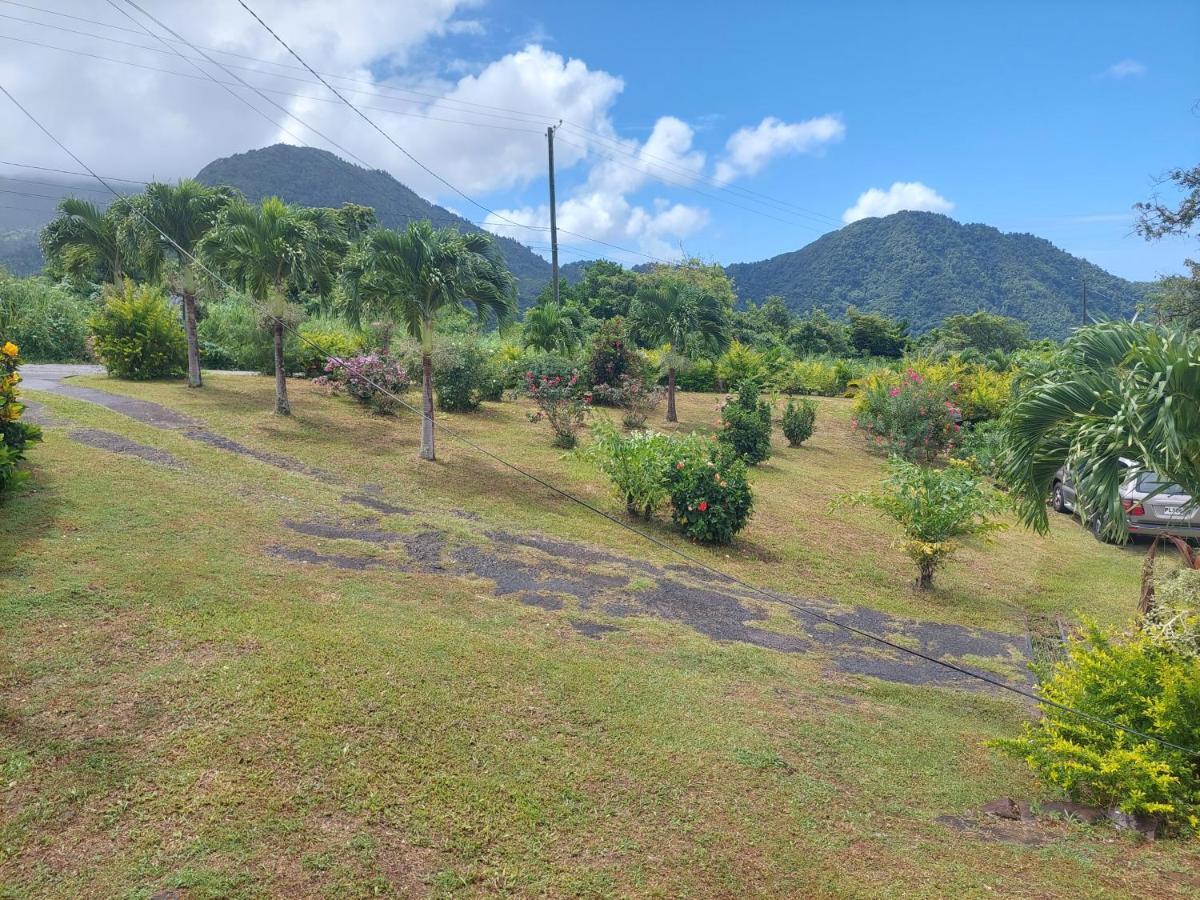 Diamond View Cottages Roseau Exteriér fotografie
